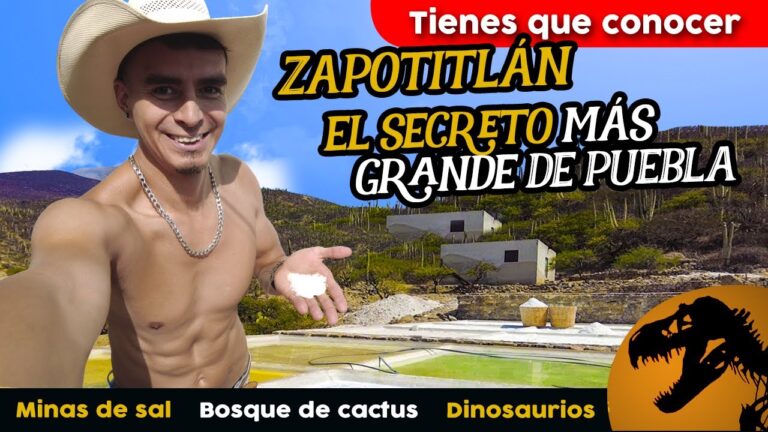 Ambiente en los Restaurantes de San Miguel de Salinas: Una Experiencia Única