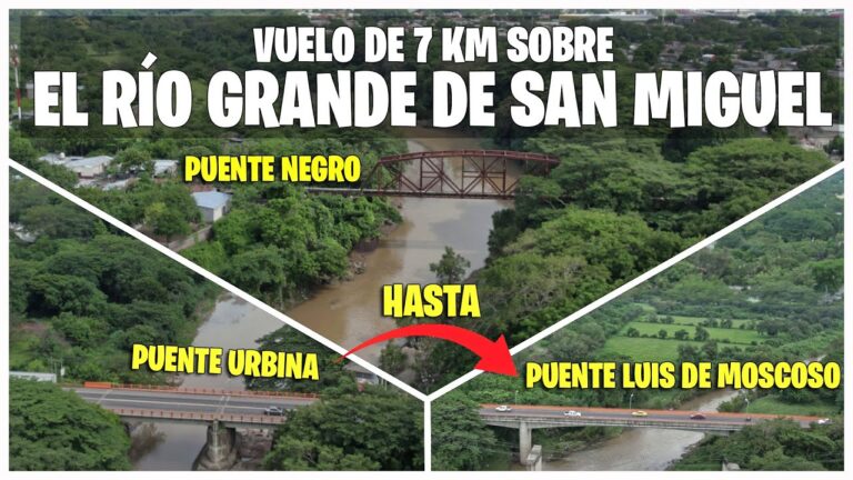 Accidente Laboral en San Miguel de Salinas: Pasos a Seguir