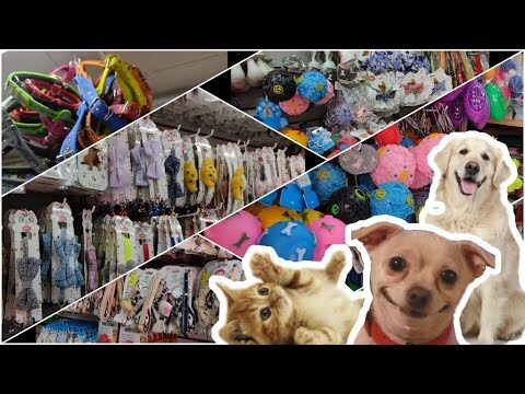 Guía de Compras de Productos para Mascotas en San Miguel de Salinas