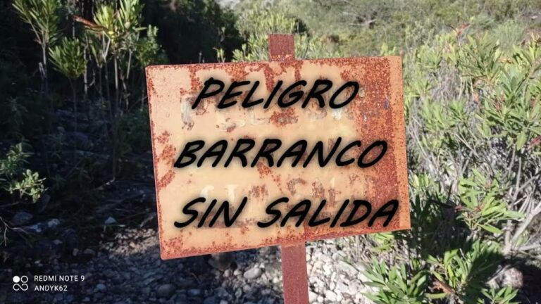 Rutas de Senderismo con Vistas en Algorfa