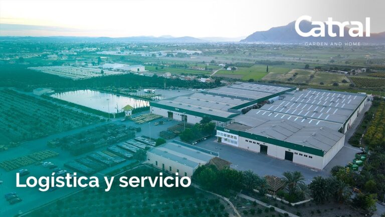 Guía para encontrar productos ecológicos en Daya Vieja