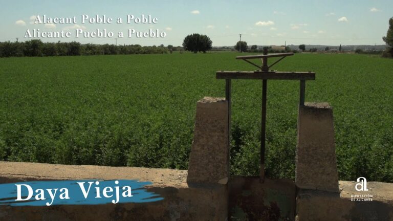 Oficina de Turismo en Daya Vieja: Ubicación y Recursos