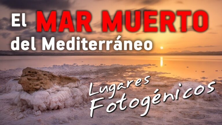 Cursos de Fotografía Disponibles en Rojales