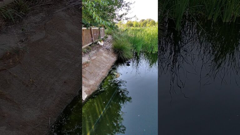 Actividades en Rojales para días de lluvia