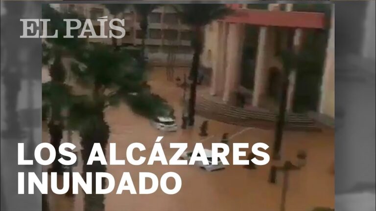 Gu&iacute;a para Testigos de Accidentes en Pilar de la Horadada