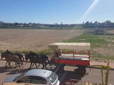 Actividades en Daya Vieja para días de lluvia