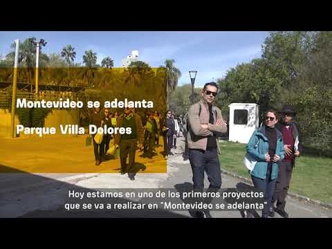 Escuelas Públicas en Daya Nueva: Un Análisis Actual